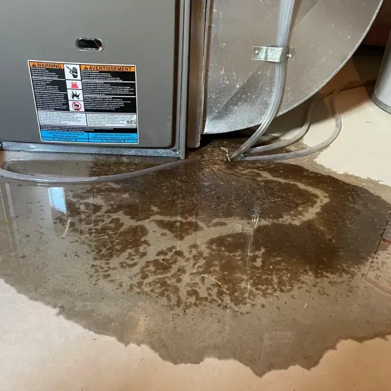 Appliance Leak Cleanup in Manchester, NY